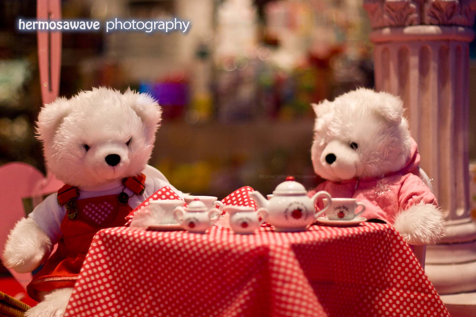 Bears’ Tea Party