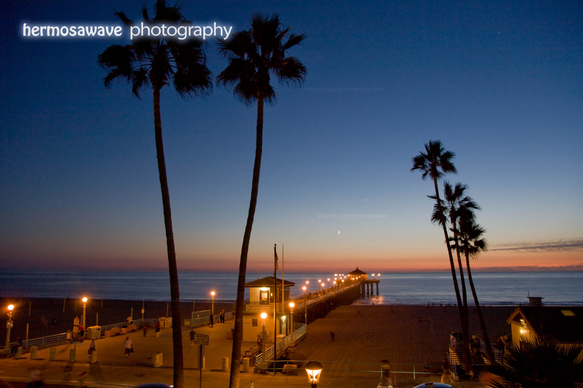 Two Palms and a Pier