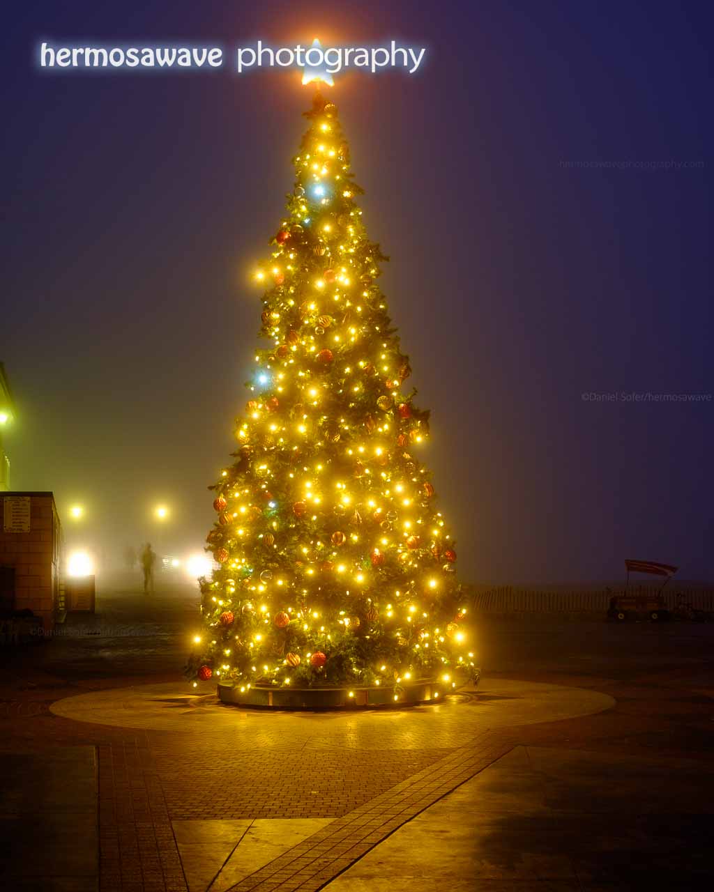 Christmas Tree in the Fog