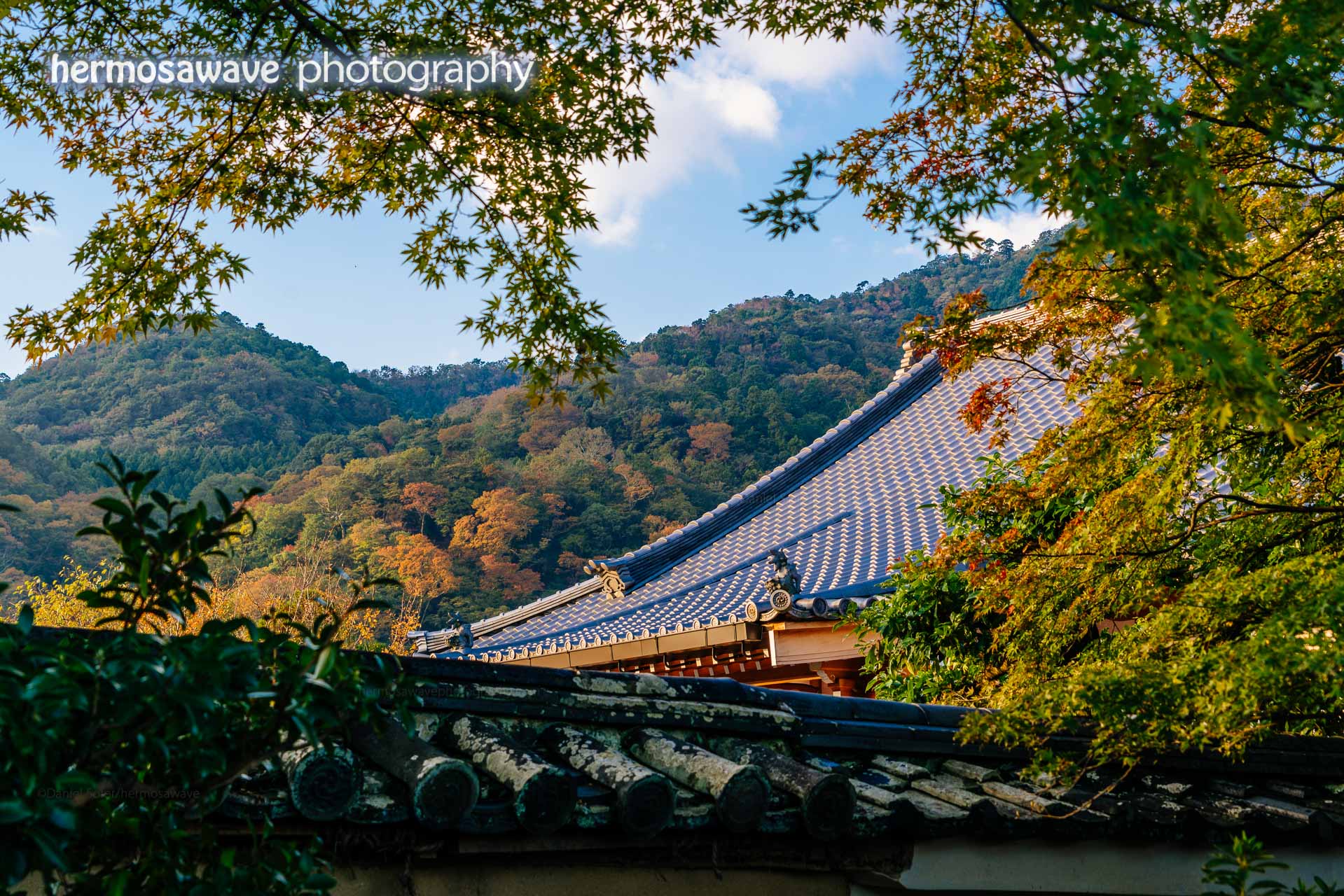 Autumn Morning in Arashiyama