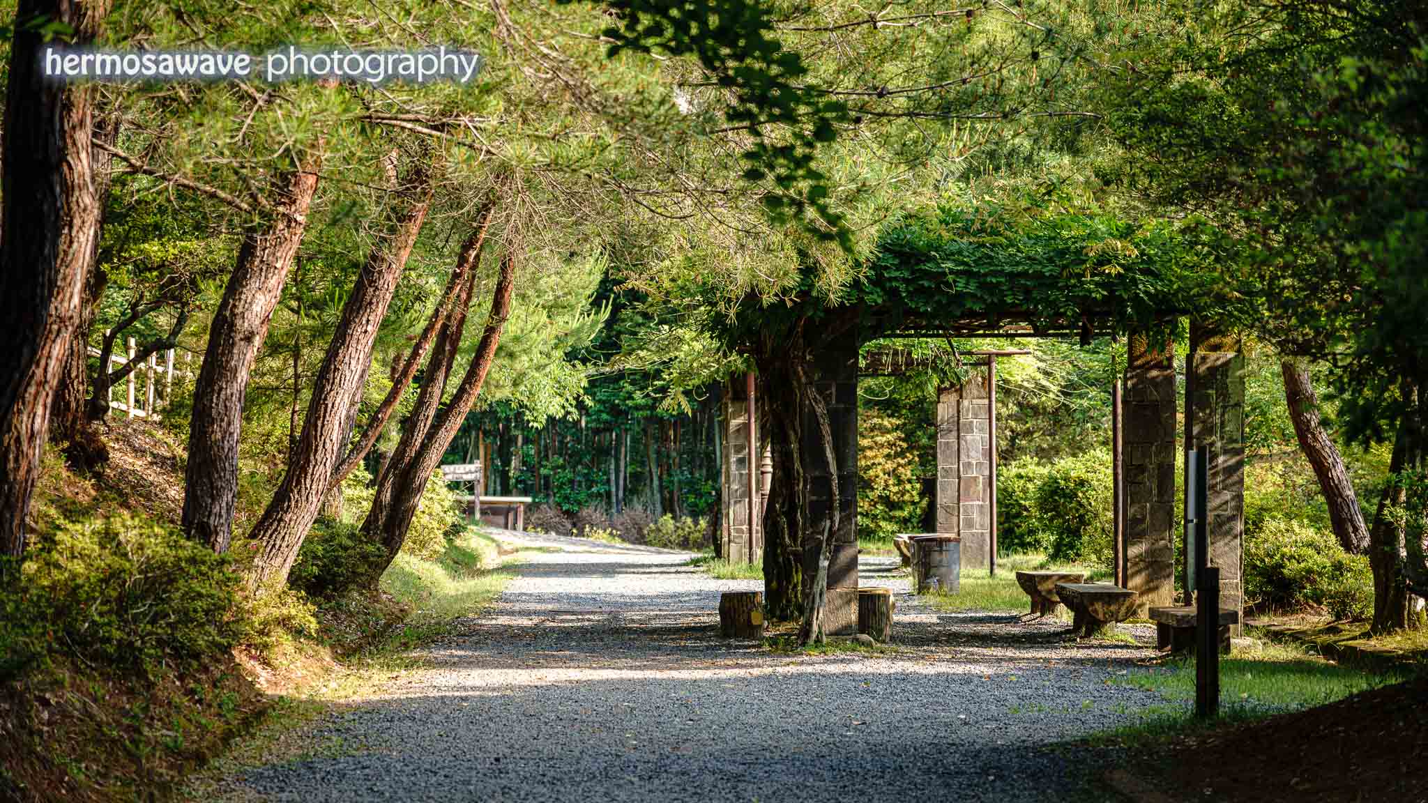 Morning in Arashiyama Park・嵐山公園の朝