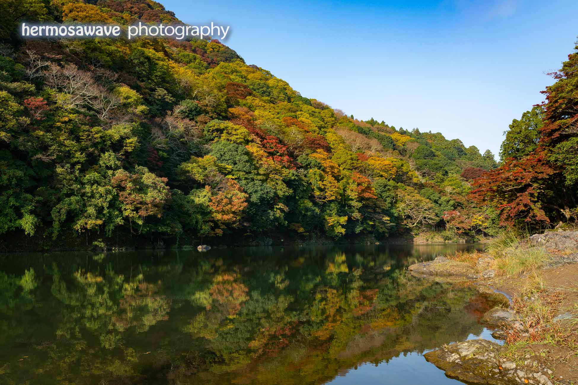 Colors on the Oi River・大堰川の紅葉